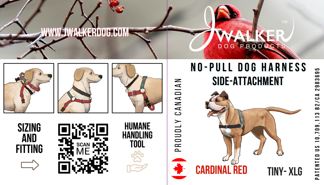 Jwalker online dog harness