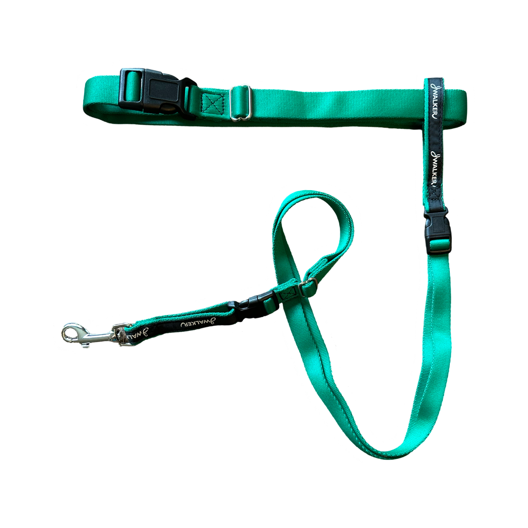 Utility Belt for Dog Walkers JWalker Dog Canada