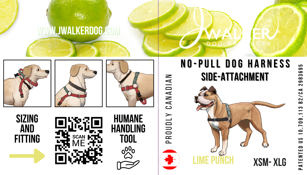 JWalker Dog Harness – JWalker Dog Canada